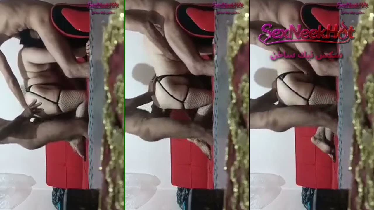 سكس مصري بيتاجرو شرمطه ملبن ومربربه وينيكوها جماعي